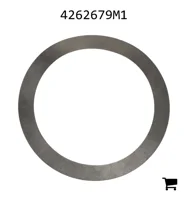 AGCO 4262679M1 Шайба