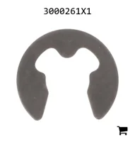 AGCO 3000261X1 Стопорное кольцо