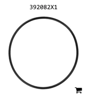 AGCO 392082X1 Уплотнительное кольцо