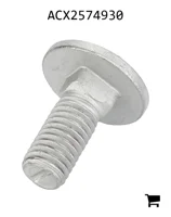 AGCO ACX2574930 Винт