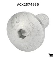 AGCO ACX2574930 Винт