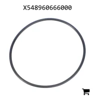 AGCO X548960666000 Уплотнительное кольцо гидравлического фильтра