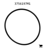 AGCO 3756197M1 Уплотнительное кольцо