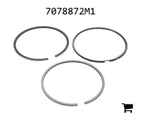 AGCO 7078872M1 Поршень