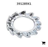 AGCO 391289X1 Зубчатая шайба
