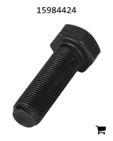 AGCO 15984424 Винт