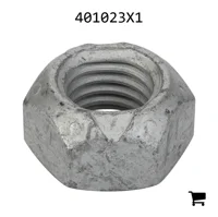 AGCO 401023X1 Шестигранная стопорная гайка