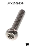 AGCO ACX2709130 Винт с полукруглой головкой