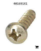 AGCO 401691X1 Винт с крестообразным шлицем