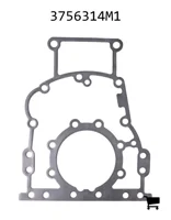 AGCO 3756314M1 Пластина уплотнительная