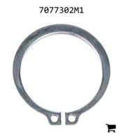 AGCO 7077302M1 Стопорное кольцо