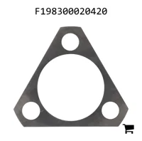 AGCO F198300020420 Шайба
