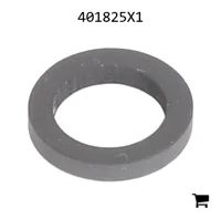 AGCO 401825X1 Уплотнение