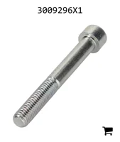 AGCO 3009296X1 Винт с цилиндрической головкой и шестигранным углублением