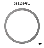 AGCO 3801397M1 Шайба