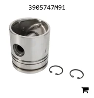 AGCO 3905747M91 Комплект поршня