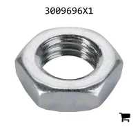 AGCO 3009696X1 Шестигранная гайка