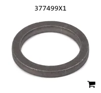 AGCO 377499X1 Шайба