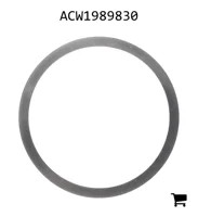 AGCO ACW1989830 Шайба