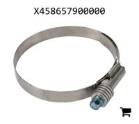 AGCO X458657900000 Хомут