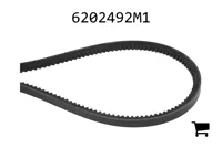 AGCO 6202492M1 Ремень