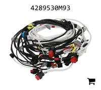 AGCO 4289530M93 Жгут