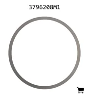 AGCO 3796208M1 Шайба