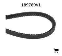 AGCO 189789V1 Клиновой ремень, профиль 13AV, длина 48,2"