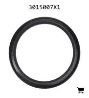 AGCO 3015007X1 Кольцо