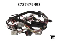 AGCO 3787479M93 Жгут