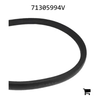 AGCO 71305994V Ремень