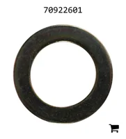 AGCO 70922601 Шайба