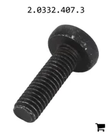 AGCO 2.0332.407.3 Винт