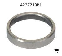 AGCO 4227219M1 Седло клапана