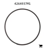 AGCO 4264937M1 Кольцо