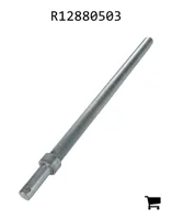 AGCO R12880503 Винт