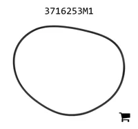 AGCO 3716253M1 Уплотнительное кольцо