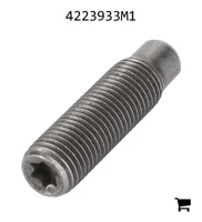 AGCO 4223933M1 Установочный винт