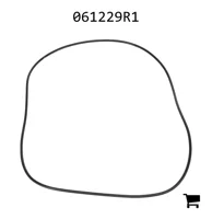 AGCO 061229R1 Уплотнительное кольцо