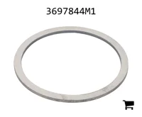 AGCO 3697844M1 Шайба