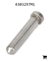 AGCO 4303297M1 Плунжер