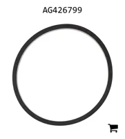 AGCO AG426799 Прокладка