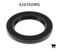 AGCO 4263924M1 Масляный сальник