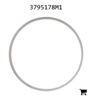 AGCO 3795178M1 Шайба