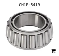 AGCO CH1P-5419 Конус подшипника