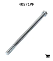 AGCO 40571PF Винт