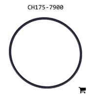 AGCO CH175-7900 Уплотнительное кольцо насоса