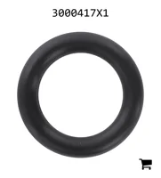 AGCO 3000417X1 Уплотнительное кольцо гидравлического насоса