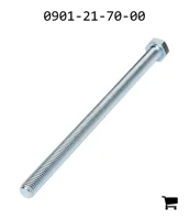 AGCO 0901-21-70-00 Болт с шестигранной головкой