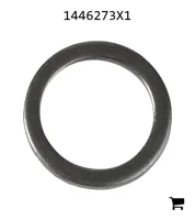 AGCO 1446273X1 Шайба